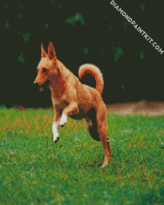 Basenji Dog Animal diamond painting