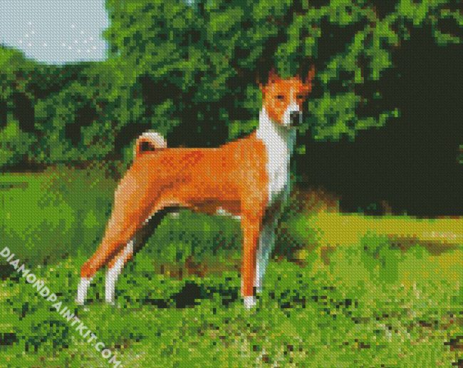 Basenji Dog Breed diamond painting