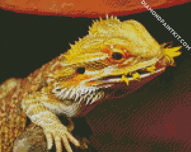 Bearded Dragon Lizard Eating diamond painting