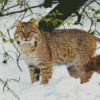 Bobcat In The Snow diamond painting