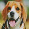 Cute Beagle Dog Head diamond painting