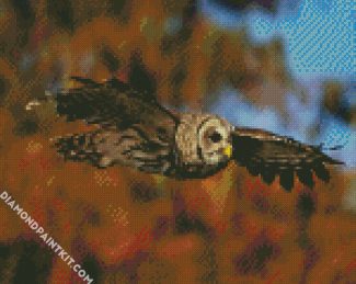 Flying Barred Owl diamond painting