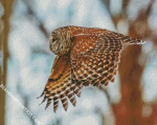 Flying Barred Owl Bird diamond painting