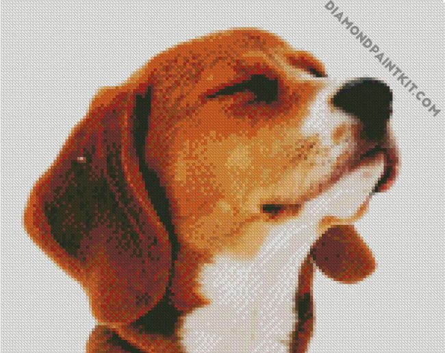 Beagle Dog Head diamond painting