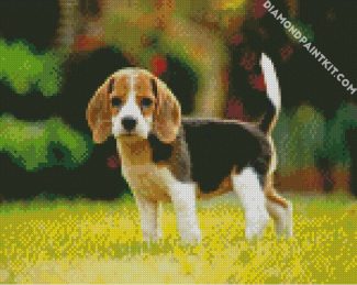 Beagle Dog Puppy diamond painting