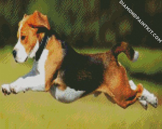 Beagle Running diamond painting