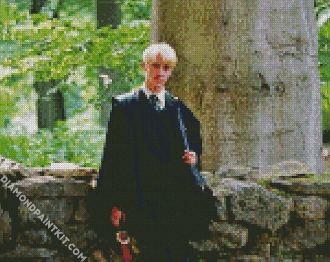 Harry Potter Draco Malfoy diamond painting