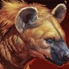 Hyena Head diamond painting