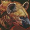 Hyena Head diamond painting