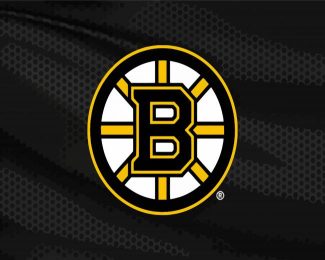 Ice Hockey Bruins Logo diamond painting