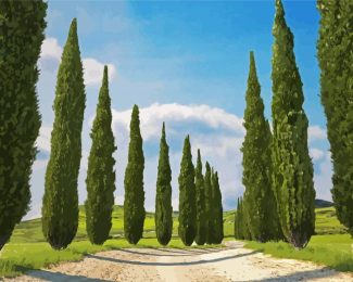 Italian Cypress Trees diamond painting