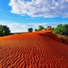 Kalahari Desert Landscape diamond painting