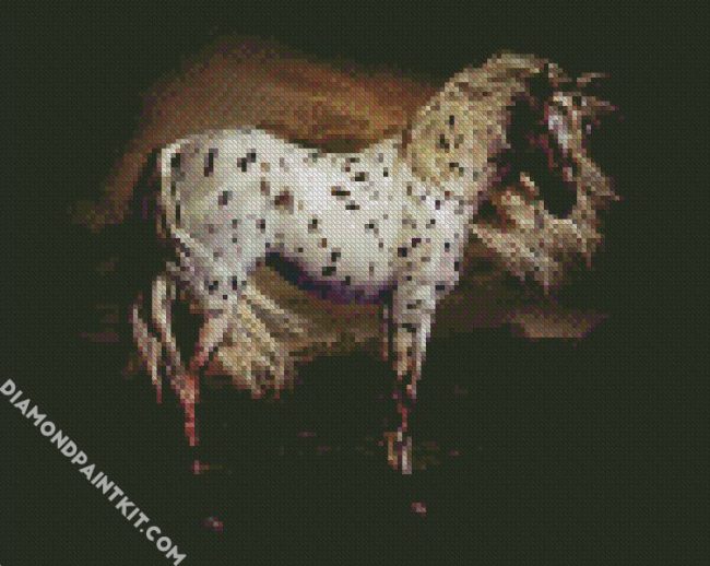 Leopard Appaloosa Horse diamond painting
