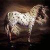 Leopard Appaloosa Horse diamond painting