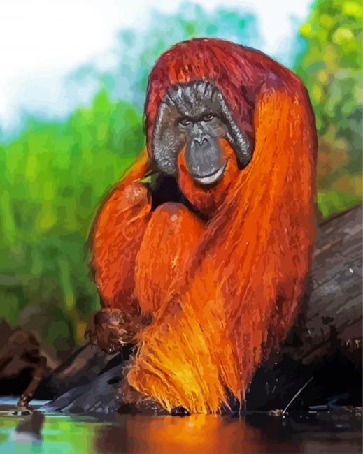 Orangutan Animal - 5D Diamond Painting 