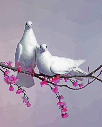 Pigeon Doves diamond painting
