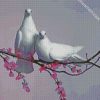 Pigeon Doves diamond painting