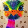 Rainbow Emu Bird diamond painting