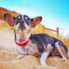 Rat Terrier At The Top Of Hill diamond painting