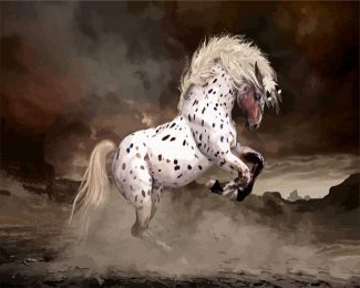 Rearing Appaloosa Horse diamond painting
