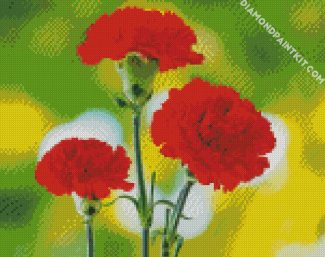 Red Carnation Flowers diamond painting