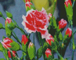 Red White Carnation diamond painting