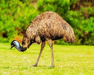 The Emu Bird diamond painting