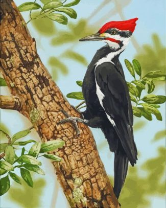 The Woodpecker Bird diamond painting