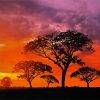Trees Silhouette Kenya diamond painting