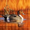 Waterfowl Duck diamond painting