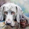 Weimaraner Dog Illustration diamond painting