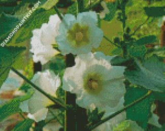 White Hollyhocks Flowers diamond painting