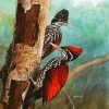 Woodpeckers Birds diamond painting