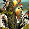 Woodpeckers Family Picoides diamond painting