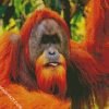 Aesthetic Orangutan diamond painting