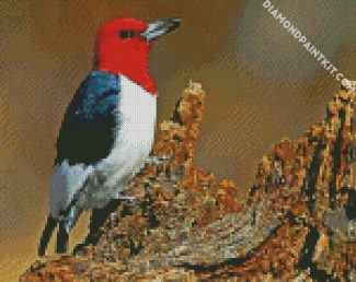 Aesthetic Woodpecker diamond painting