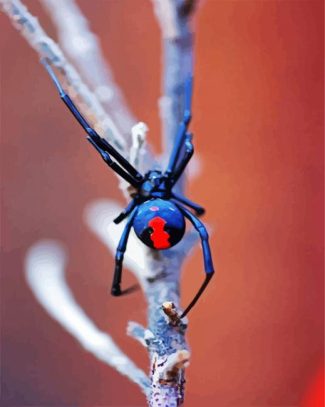 Aesthetic Black Widow Spider diamond painting