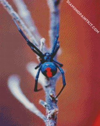 Aesthetic Black Widow Spider diamond painting