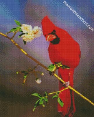 Aesthetic Red Cardinal Bird diamond painting