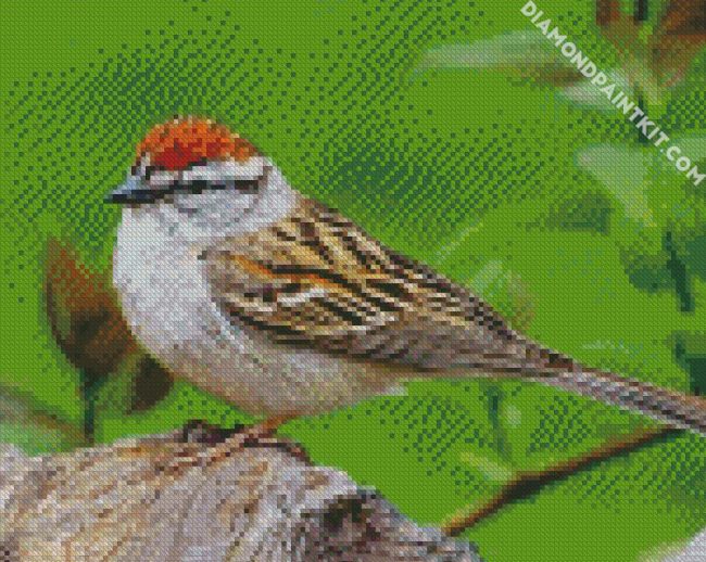 Aesthetic Sparrow Birdy diamond painting