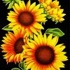 Aesthetic Sunflowers diamond painting