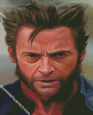 Aesthetic Wolverine diamond painting