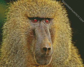 Baboon Monkey Animal diamond painting