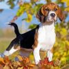 Beagle Dog Fall Leaves diamond painting