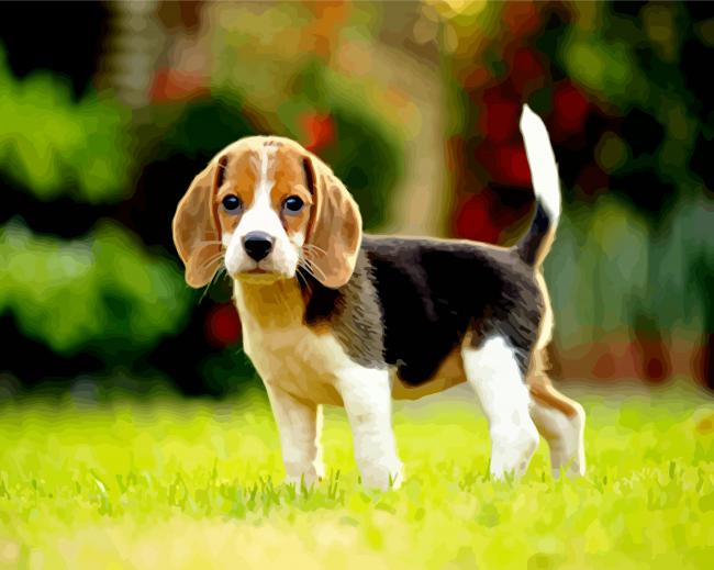  Noche Diamond Painting Kits Cute Beagle on Grass,for