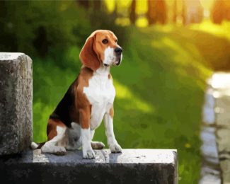 Beagle Dog diamond painting