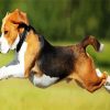 Beagle Running diamond painting