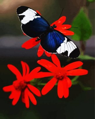 Black Butterfly And Red Flower diamond painting