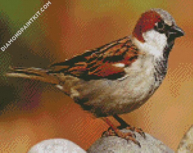 Brown Sparrow Bird diamond painting