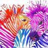 Colorful Zebras diamond painting